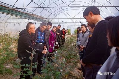 田間地頭的生動課堂 建陽區農技培訓“搬進”農業企業，賦能鄉村振興